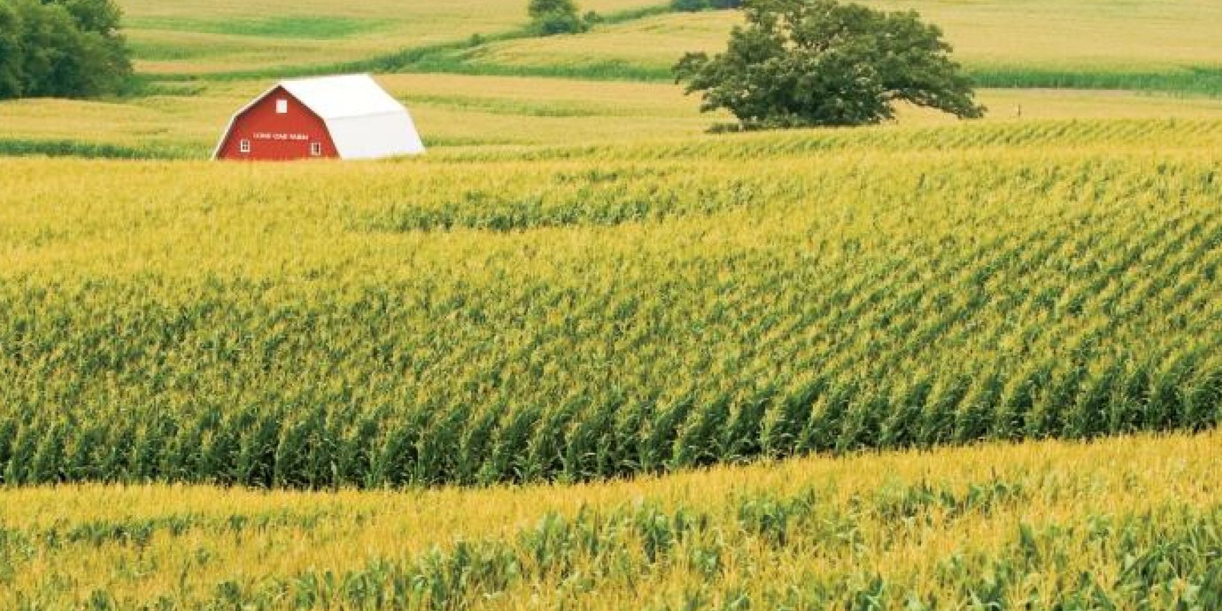 These photos are from the Illinois farm bureau staff photographer. DO NOT USE FOR ANY OTHER PROJECT EXCEPT PARTNERS.MADATORY CREDIT Ken Kashian